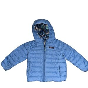 Patagonia Sky Blue Hooded Jacket